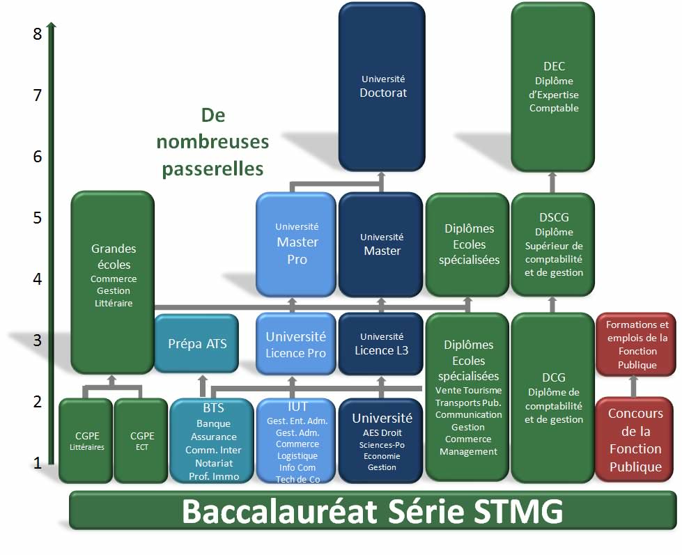 /Debouches_bac_stmg